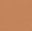 6313 Caramel