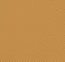4819 Maize Yellow