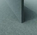 Eucalyptus