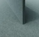 Eucalyptus