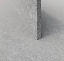 Seagull