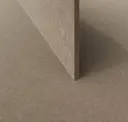 Desert Sand