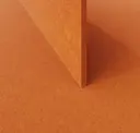 Tiger Orange