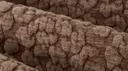 Clay