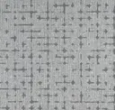 Ion Grey