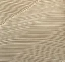 Warm Sands