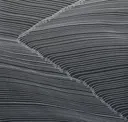 Seismic