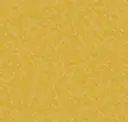 Buzzy Yellow