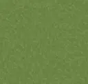 Grassy Meadow