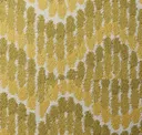 Maize