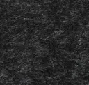 Coal