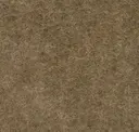 Sandstone