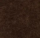 Oil