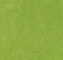 Seaweed