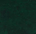 Pine