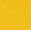 Canary