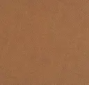 801 Tan