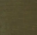 243 Cactus