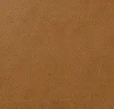 314 Mustard