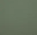 253 Cardamom