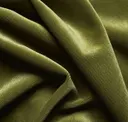 231 Olive
