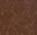 801 Tan