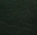 228 Bottle Green