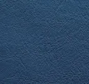 100 Blue