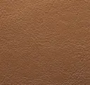 801 Tan