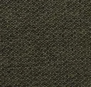 231 Olive