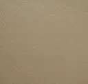 507 Rich Ivory