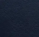116 Navy