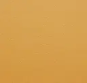 314 Mustard