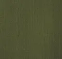 231 Olive