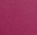 409 Magenta