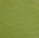 220 Light Green