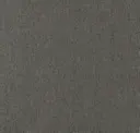 971 Nickle