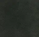 Antracite
