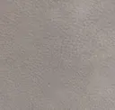 Elefante
