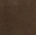 Wengè