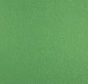 Neon Green