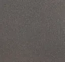Iron
