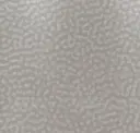 Gray Pearl