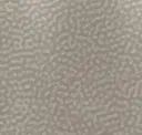 Putty Pearl
