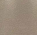 Taupe Pearl