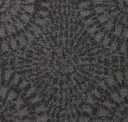Coal