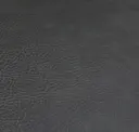 Coal