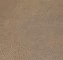 Parchment