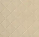 Vellum