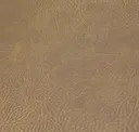 Saddle
